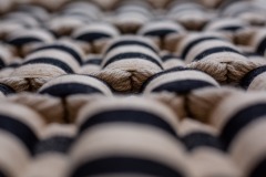 molly-haynes-tatter-web-26