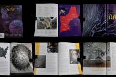 print-29-34-take-magazine