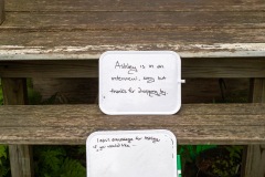 published.-ashley-bryan-web-19