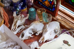 published.-ashley-bryan-web-38