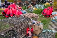 published.-ashley-bryan-web-5