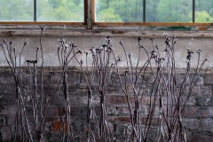 published.-john-bisbee-web-44