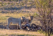 South Africa 2018 web-249