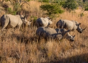 South Africa 2018 web-283