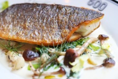 remastered-tag-web-14