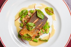 remastered-tag-web-397