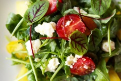 remastered-tag-web-90