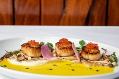 waverly-inn-0322-izzyberdan-61