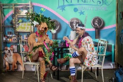 delta-nu-2019-web-88