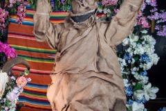 wilde-spookey-23-izzyberdan-web-1183