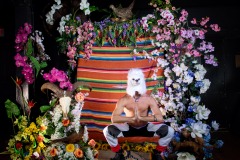 wilde-spookey-23-izzyberdan-web-475