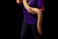 bushwig-2018-web-197