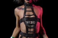 bushwig-2018-web-300