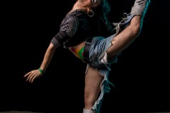 bushwig-2018-web-441