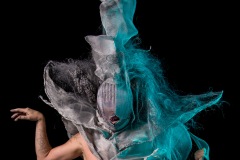 bushwig-2018-web-507